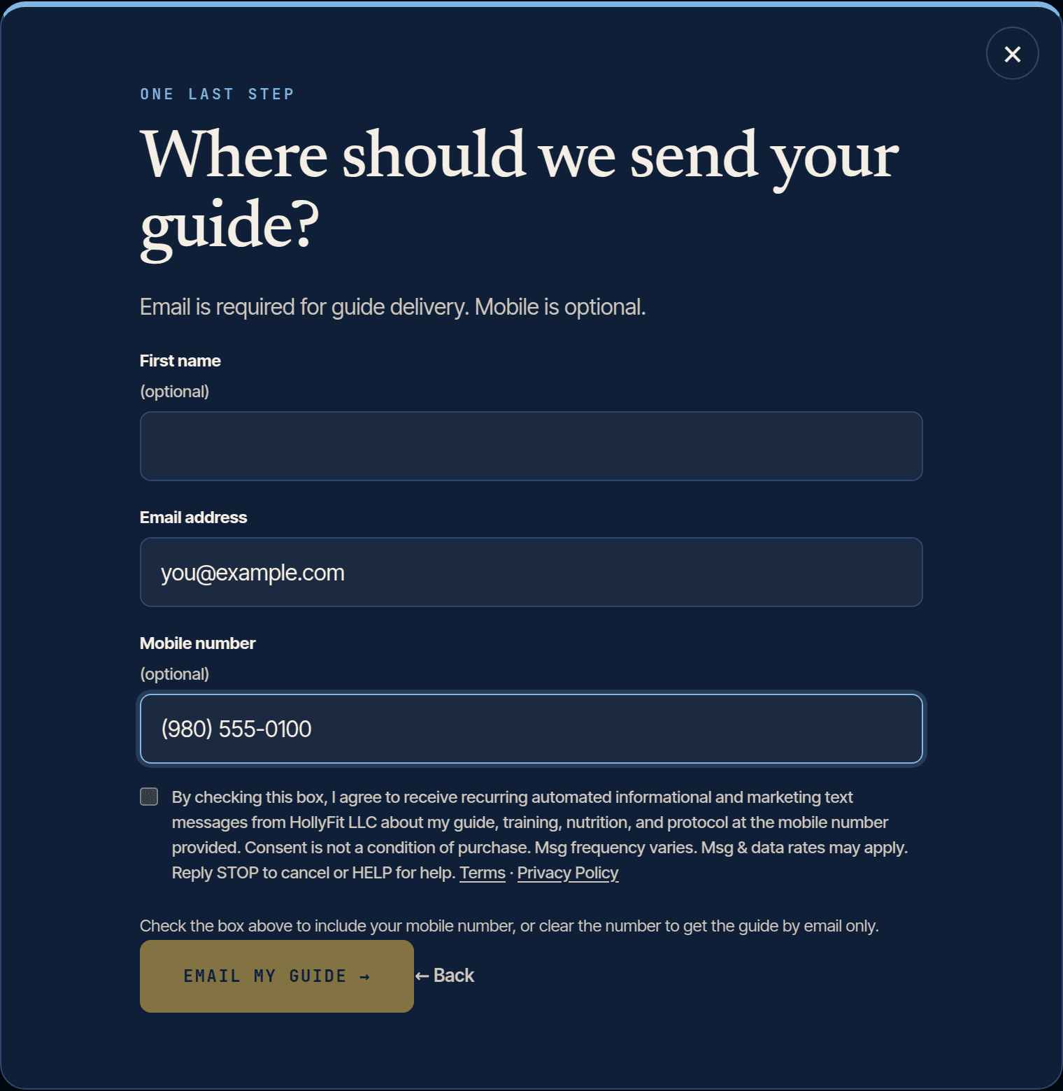The final step of the HollyFit Fit Check form: first name, email address, and mobile number fields, followed by the unchecked SMS consent checkbox and the Email my guide button.